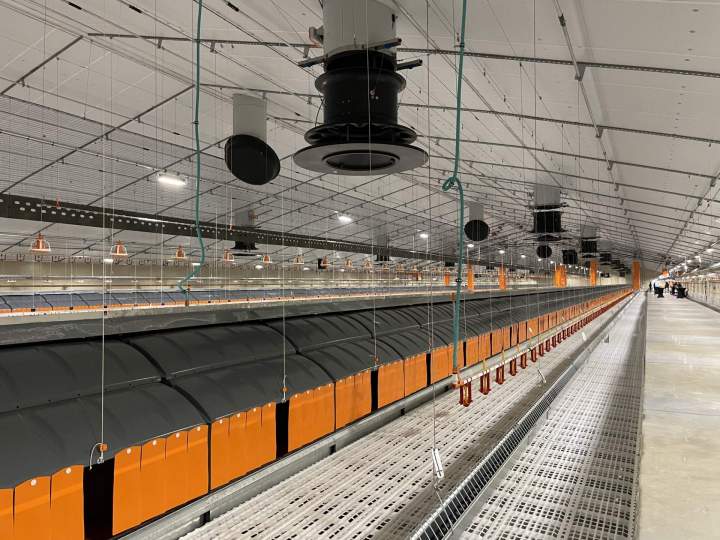 Aménagement intérieur bâtiment agricole Saint-Quentin-en-Mauges